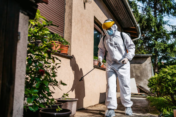 Best Best Pest Control Companies  in Kyle, TX