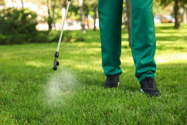 Best Wildlife Control Services  in Kyle, TX