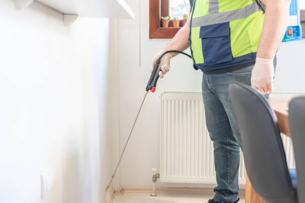 Reliable Kyle, TX Pest Control Solutions
